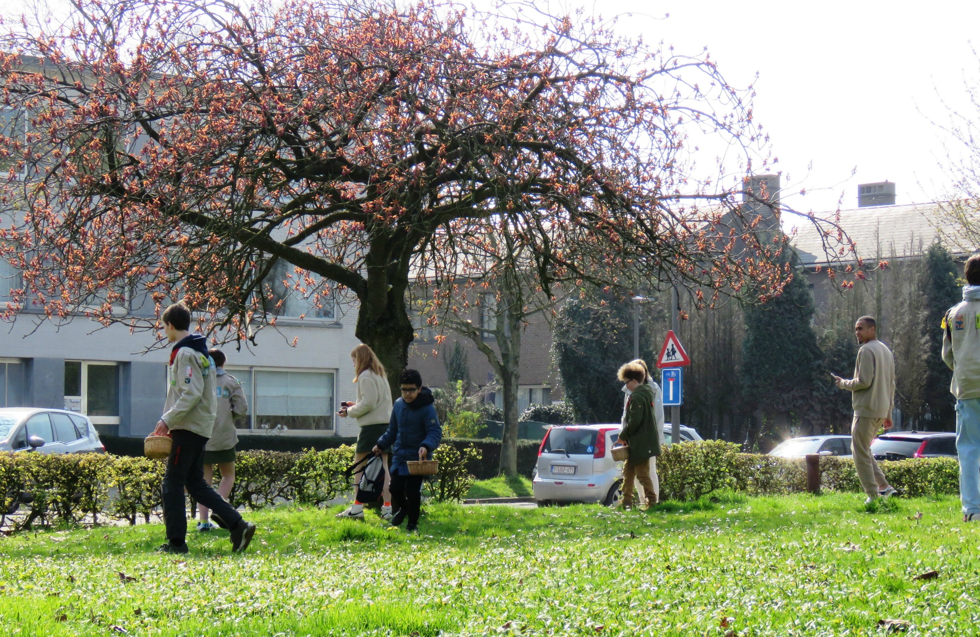 Pasen | Paaseieren rapen na de viering door de kinderen op het grasplein voor de kerk